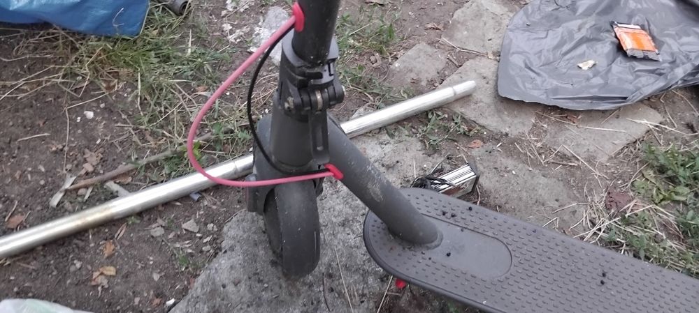 Техника и най различни моркови нища