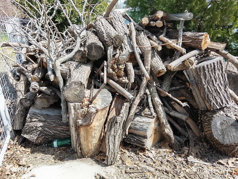 Дърва за огрев 8 кубика
