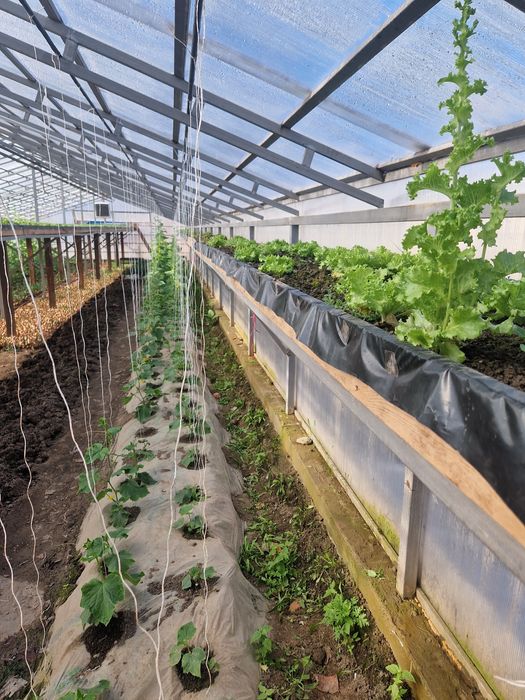 Продам дом с зимней теплицой