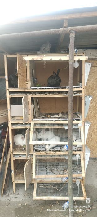 Продаётся клетка для кроликов