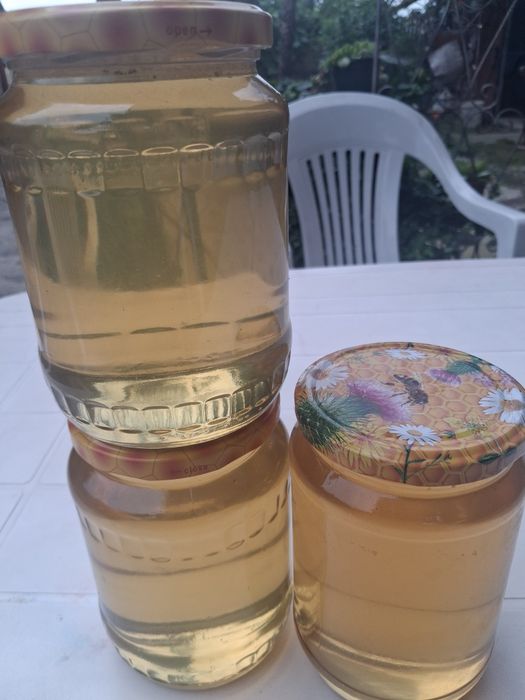 Vând sau schimb miere și roiuri albine cu lăzi si rame