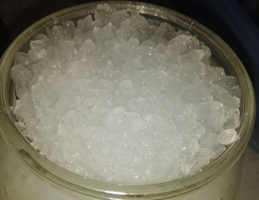 Индийский морской рис