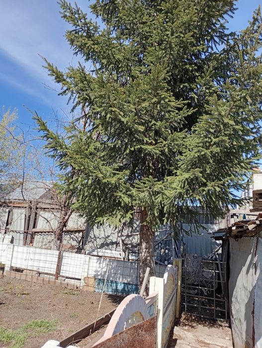 Продам дом в центре города