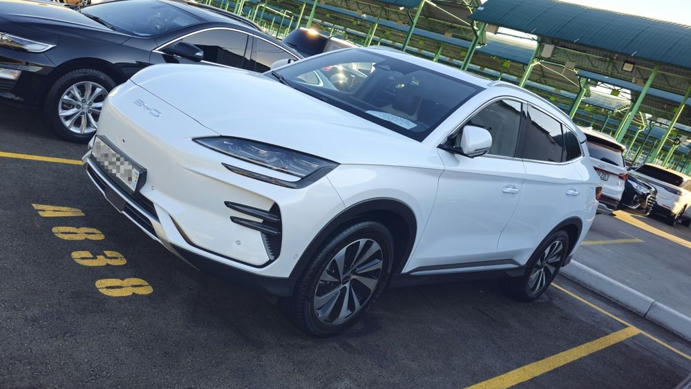 BYD чимпион сотилади