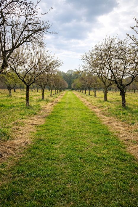 Teren ~1 ha cu asfalt și utilități la poartă, lângă pădure