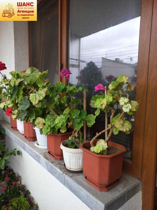 Продава се Тристаен апартамент в Плевен, Мара Денчева - 80 кв.м за 1563 €/кв.м - Снимка #16