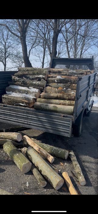 Lemne de foc Fag Stejar Carpen Salcam