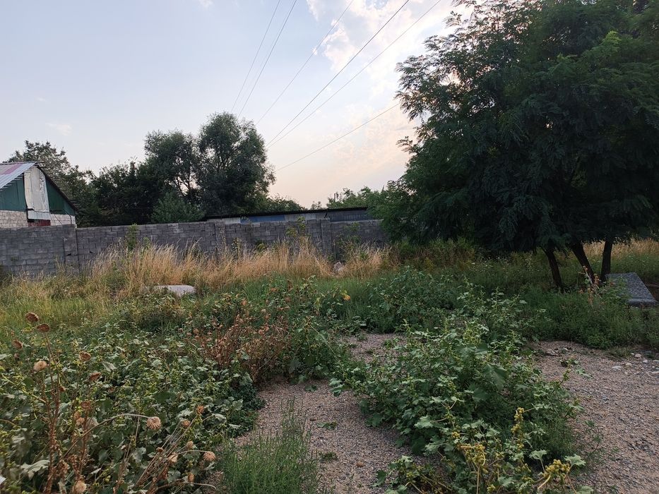 Продам участок 5,5 соток Талдыбулак