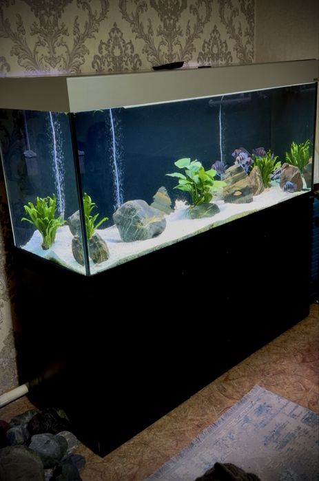 Аквариум Aquael 500л полный комлект