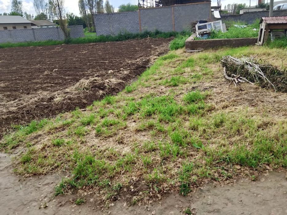 Uchastka zemlya.