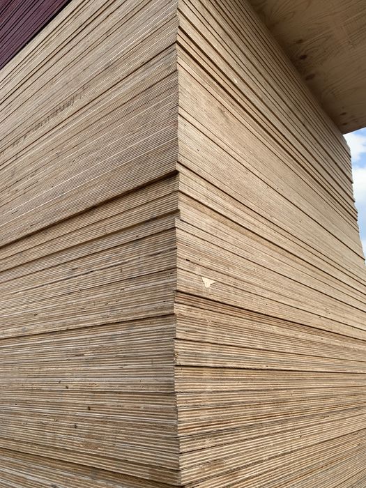 Фанера производство Россия, Китай