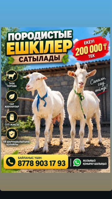Срочно ешкілер сатылады