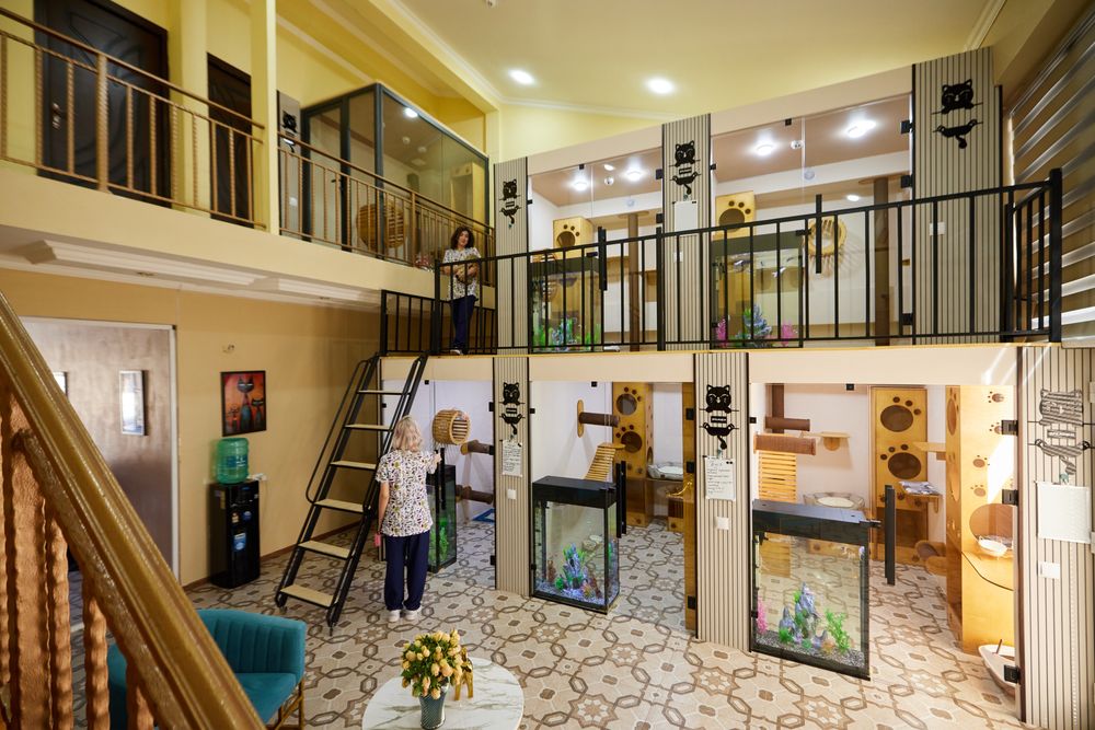 Гостиница для кошек Happy Mur.