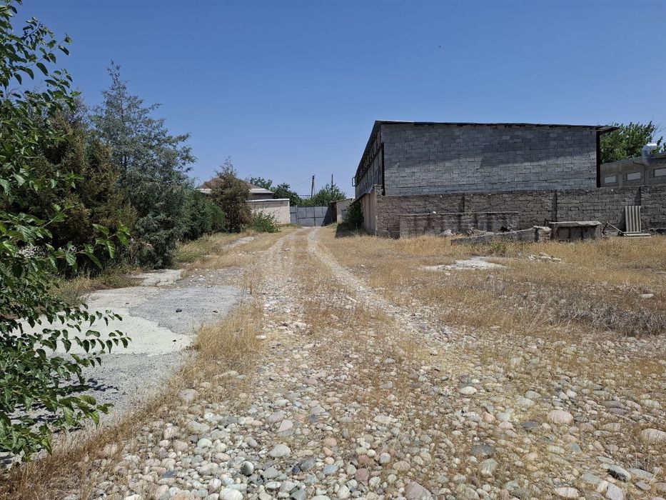 Учхоз, Мирзо Улугбек! Продаётся 71 соток под строительство