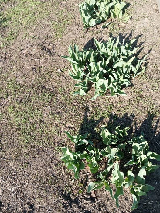 Продам кирпичный дом