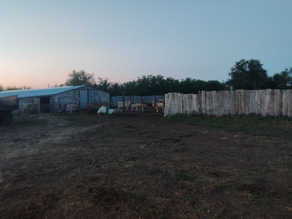 Ферма , личное подсобное хозяйство