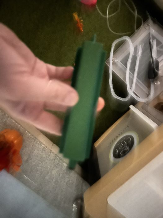 Broasca testoasa suport