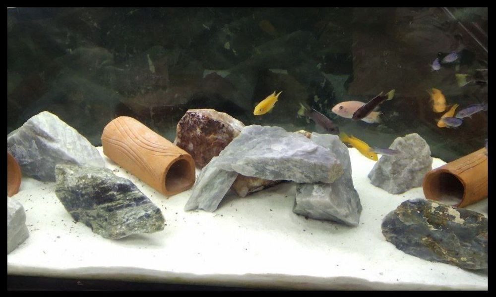 Oq mramr qum akvariumga