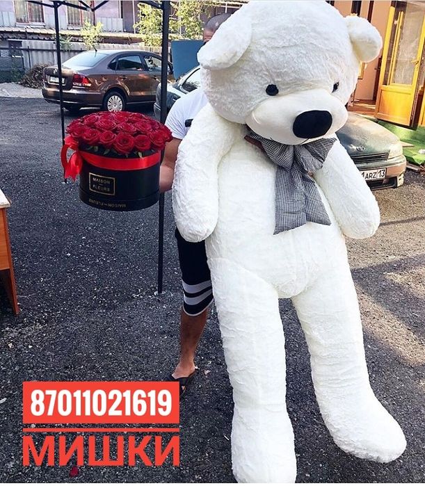 Плюшевые мишки Тараз