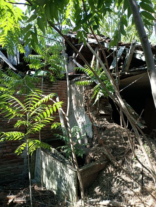 Продава се Парцел в с. Ловец, Област Стара Загора - 3200 кв.м за 5 €/кв.м - Снимка #5