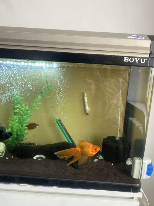 Продается аквариум на 100литров