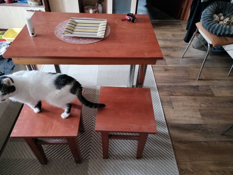 Masă și scaune de vinzare