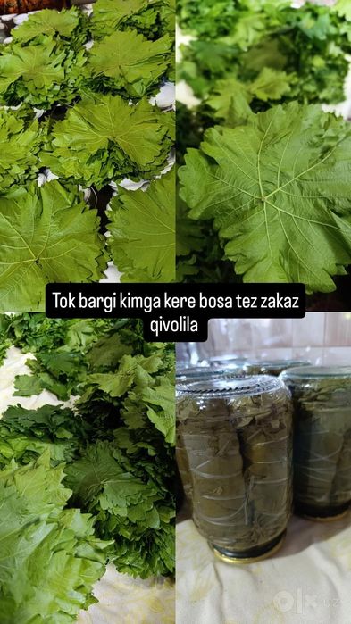 Bonka zakazga yopib beramiz