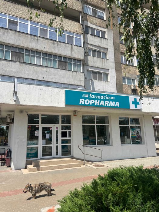 Spatiu comercial de Inchiriat 174mp Vaslui - Stefan cel Mare