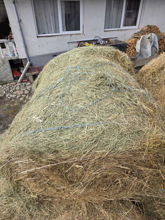 Vand baloti lucernă