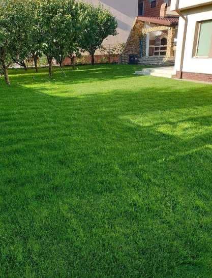 Gazon Rulou, Sisteme de irigare