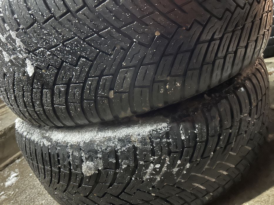 235 50 19 Pireli allseason dot 2022