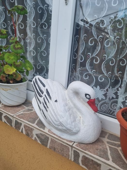 Decorațiuni gradina si perete