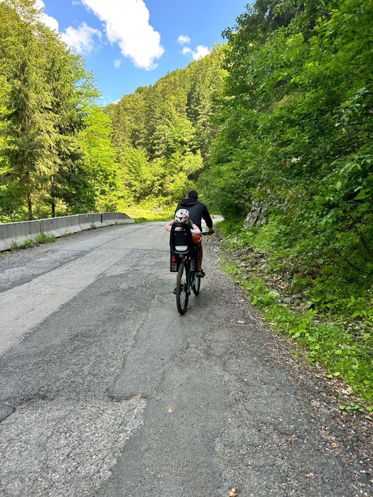 DHS 29 + scaun copil