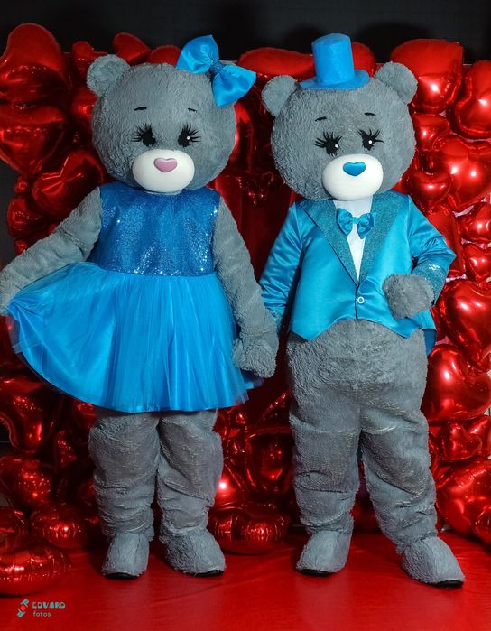 Мишки тедди аниматор. Прокат