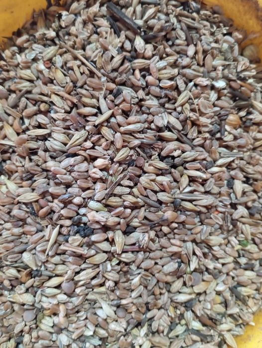 Продам  зерноотходы отруби зерносмесь  пшеница