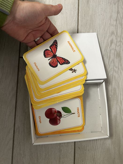 Set jocuri interactive pentru copii de la 12 lui