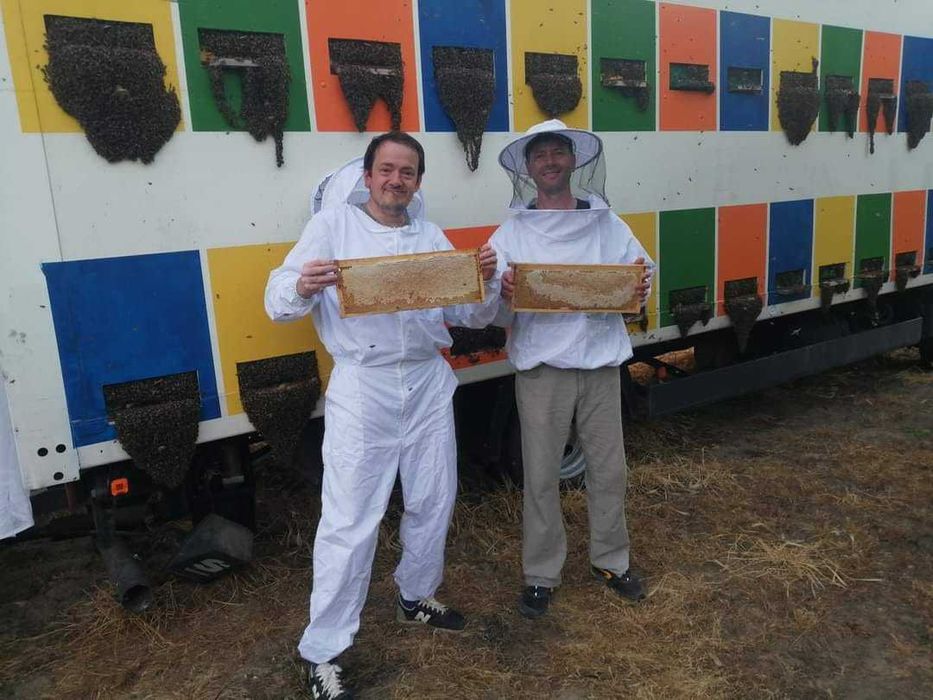 Miere de tei, crudă, zaharisită, 35 lei/kg Livram sâmbăta în Bucuresti