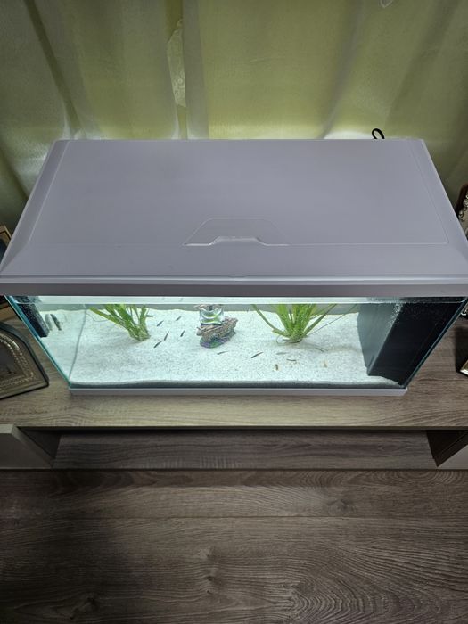 Acvariu 60 l cu capac