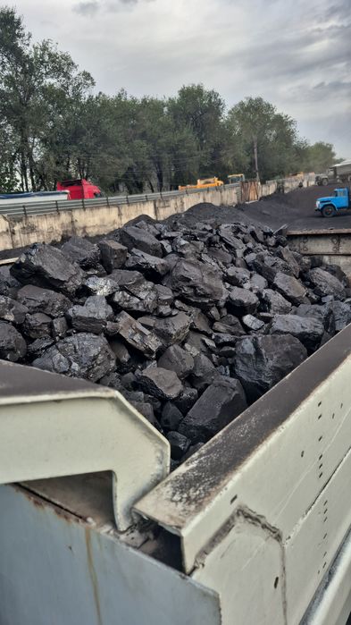 Уголь шибаркуль доставка