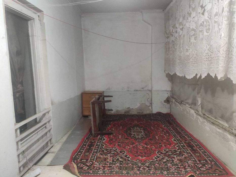 Аренад массив куйлюк 4