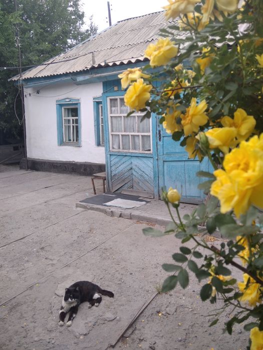 Продам дом в центре в районе бывшего базара Даубай