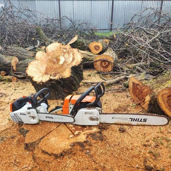 Спил деревьев и Распил деревев