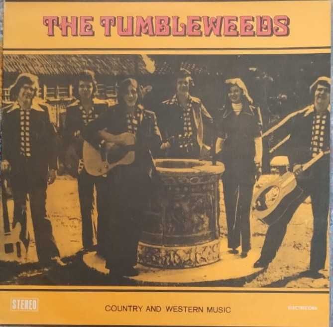12 viniluri de colectie Electrecord