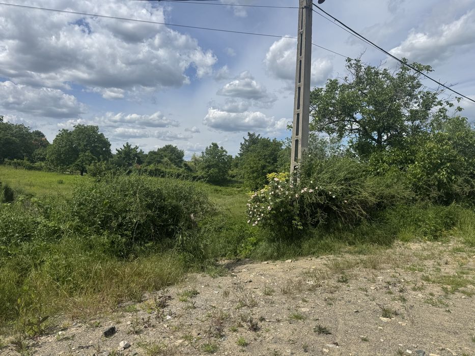 Teren de vânzare Goruni, Tomești – 1600 MP  - Parcelabil