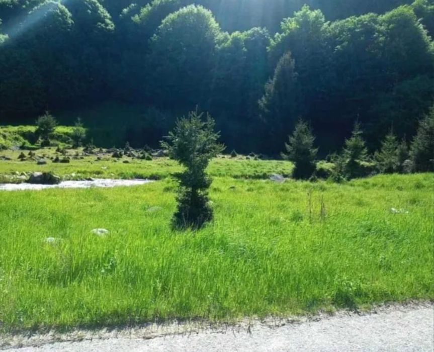 Teren PREMIUM 3000 mp Râușor – lângă pârtia de schi | Investiție turistică de top