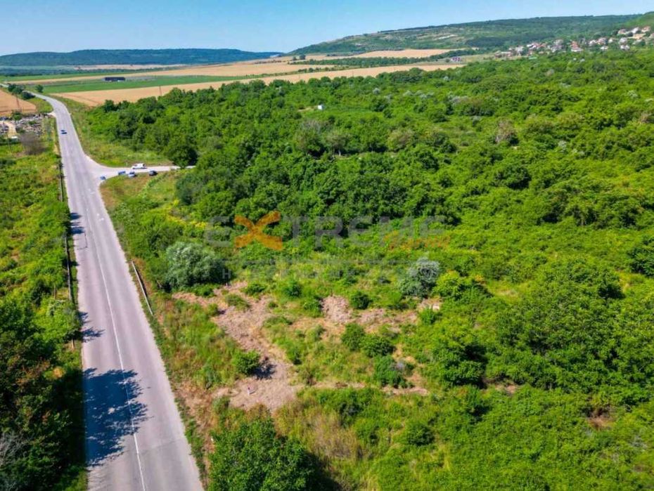 Продава се Парцел в с. Рогачево, Област Добрич - 2510 кв.м за 10 €/кв.м - Снимка #8