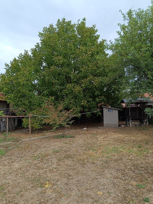 Продава се Къща в с. Каменец, Област Плевен - 80 кв.м за 478 €/кв.м - Снимка #5