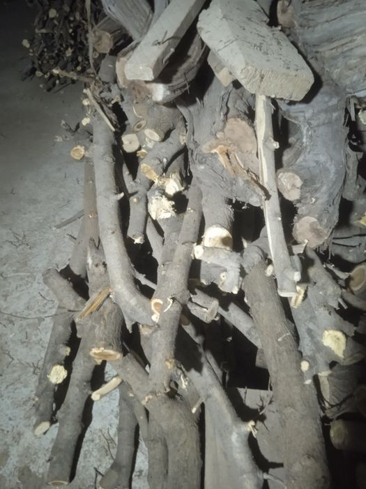 Tut Otinlar sotiladi