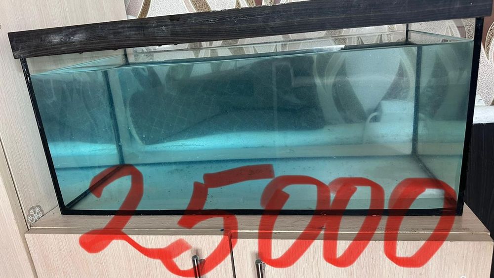 Продам аквариум со всеми аксессуарами