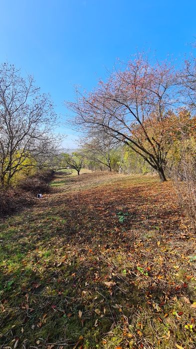 Teren de vânzare în Copou, Viticultori, Iași